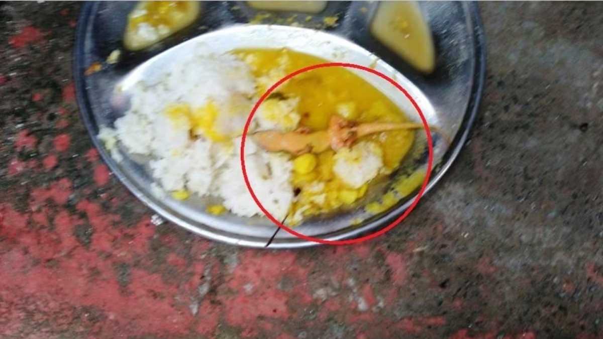 नालंदा में आंगनबाड़ी केंद्र में भोजन में मिली छिपकली, 20 बच्चे बीमार